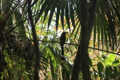 IMG_3788