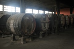 IMG_3533-Colonia-del-Sacramento-Bodega-Bernardi