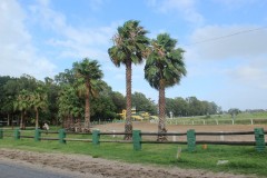IMG_3537-Hipódromo