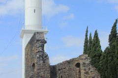 IMG_3558