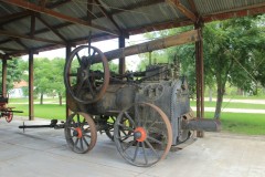 IMG_3566-Conchillas