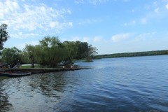 IMG_3578