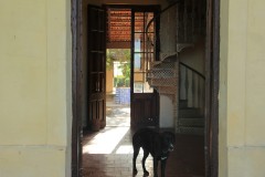 IMG_3588