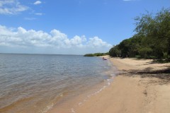 IMG_3617-PN-Esteros-de-Farrapos-y-Islas-del-Río-Uruguay