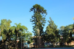 IMG_3697-Tacuarembó-Plaza-19-de-Abril-Artigas
