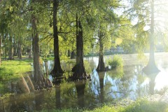 IMG_3701
