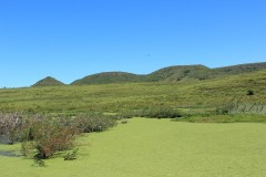 IMG_3707