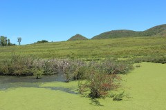 IMG_3708