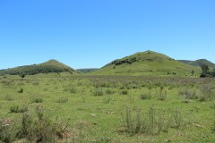 IMG_3712