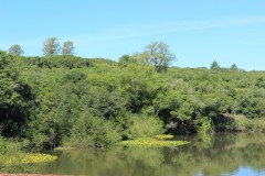 IMG_3718-Quebrada-Laureles