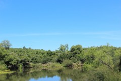 IMG_3721