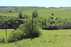IMG_3723