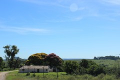 IMG_3728