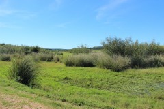 IMG_3733-Quebrada-de-los-Cuervos