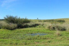 IMG_3734