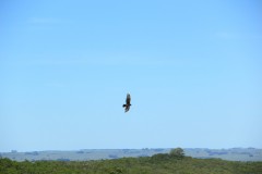 IMG_3744