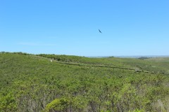 IMG_3745