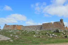 IMG_3765