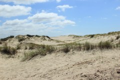 IMG_3769