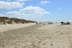 IMG_3770