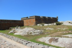IMG_3777