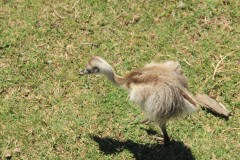 IMG_3793