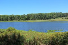 IMG_3799