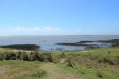IMG_3816