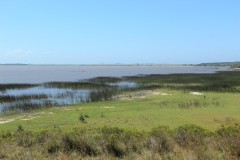 IMG_3817