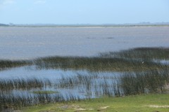 IMG_3818