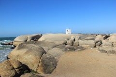 IMG_3831