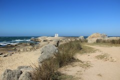 IMG_3835
