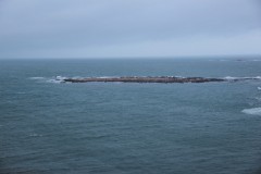 IMG_3845-Cabo-Polonio