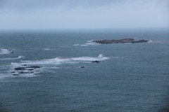 IMG_3846