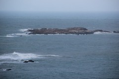 IMG_3847