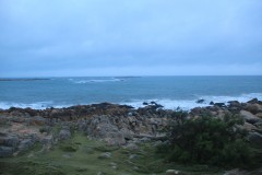 IMG_3856