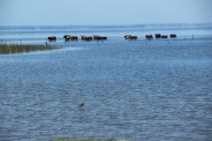 IMG_3887