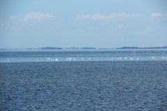 IMG_3888