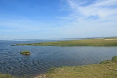 IMG_3890
