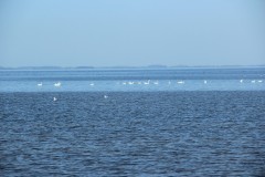 IMG_3891