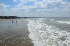 IMG_3909