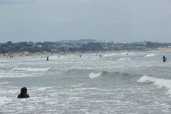IMG_3910