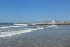 IMG_3911