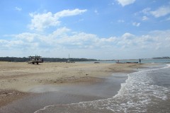 IMG_3921