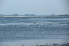 IMG_3936