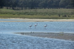 IMG_3941