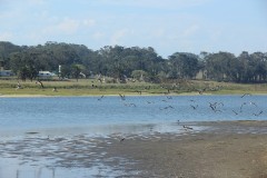 IMG_3942