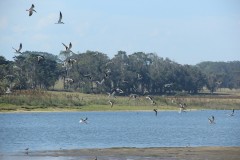 IMG_3943