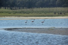 IMG_3944