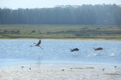 IMG_3945